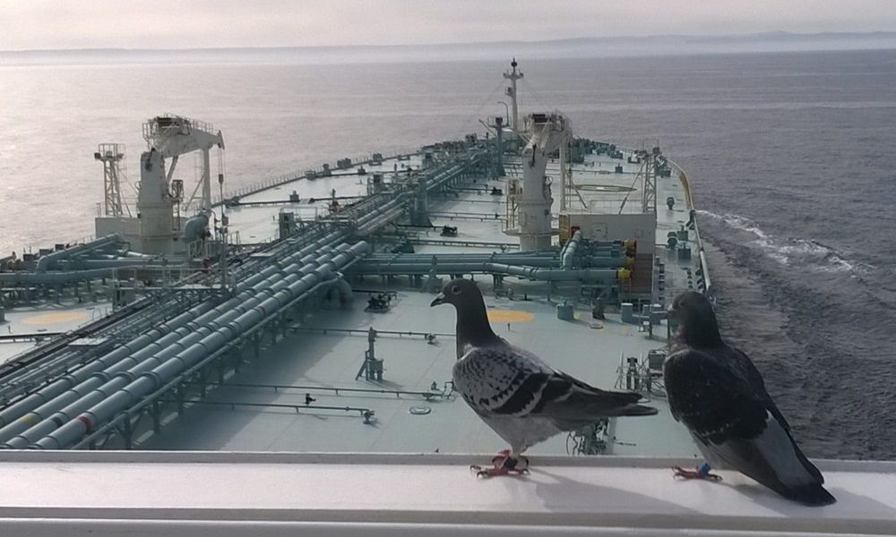 Minerva Marine vende petroliere datate con rinforzo di ghiaccio a compratori cinesi
