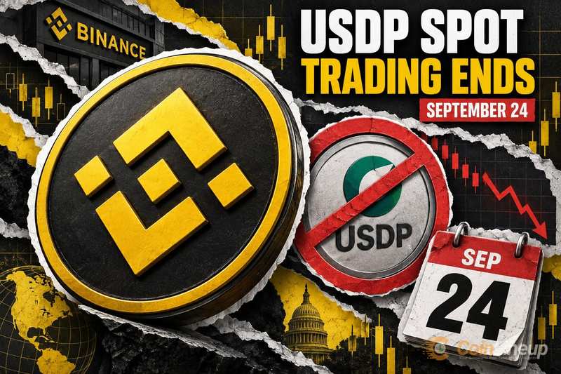 Binance ma podobno zakończyć handel spot USDP 24 września