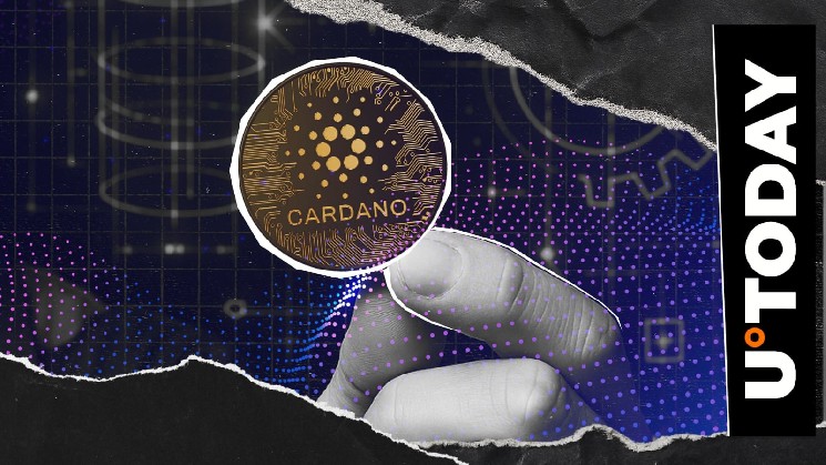 Мультивалютная криптокарта Cardano Visa будет прекращена 31 октября 2026 года
