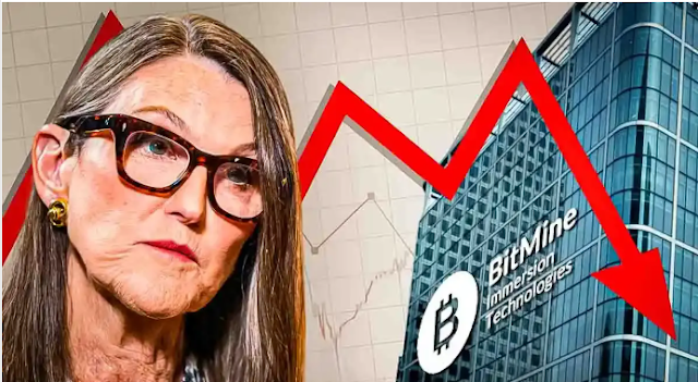 L'Ark Invest di Cathie Wood vende azioni legate alle criptovalute mentre continua il ribilanciamento del portafoglio