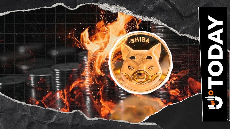 Tempo spalania Shiba Inu skacze o 441% po ostrym wzroście ceny