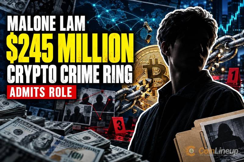 Malone Lam reconnaît son rôle dans un réseau criminel crypto de 245 millions de dollars