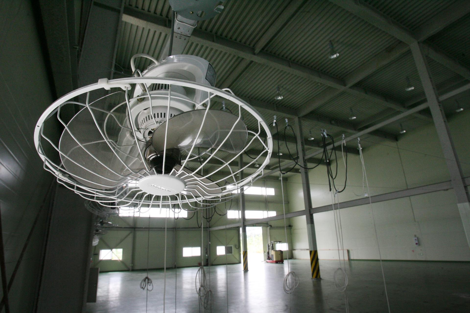 Fan Death: South Korea's Most Persistent Urban Legend