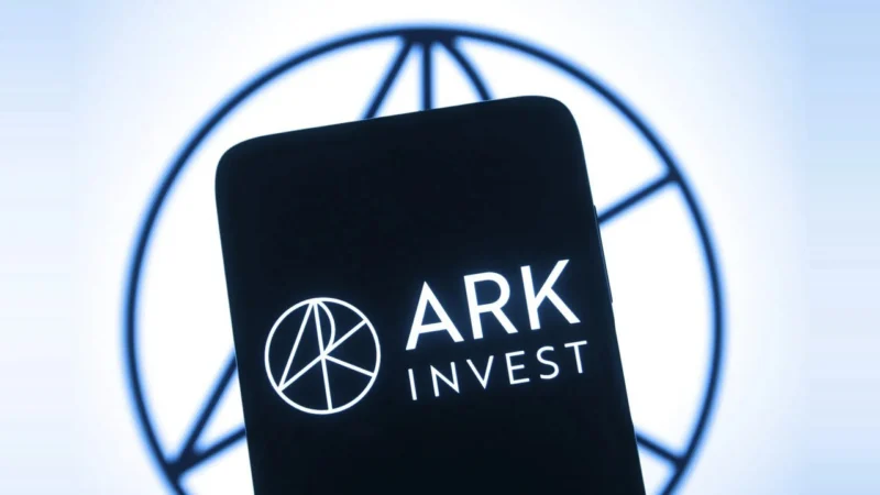 Ark Invest kupuje akcje Circle Internet Group za 5,2 mln dolarów