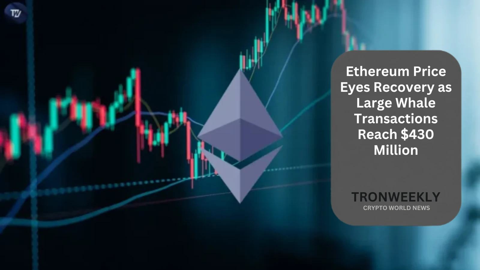 Ethereum punta alla ripresa mentre le transazioni delle balene superano i 430 milioni di dollari e la domanda istituzionale di ETF cresce