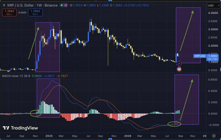 XRP News: Ripple Partners With SettleMint to Expand Digital Asset Adoption