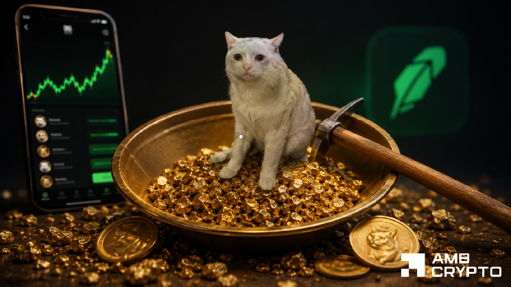 Cash Cat Surges 29% to New High of $0.30 as Short Liquidations Reach $611K