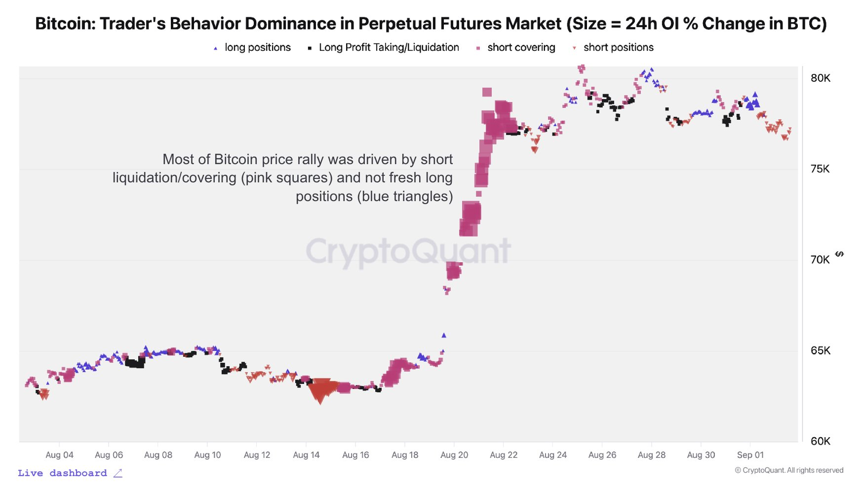 Bitcoin Rallies Past $81,000 With 5% Gain, Triggering $442 Million in Short Liquidations