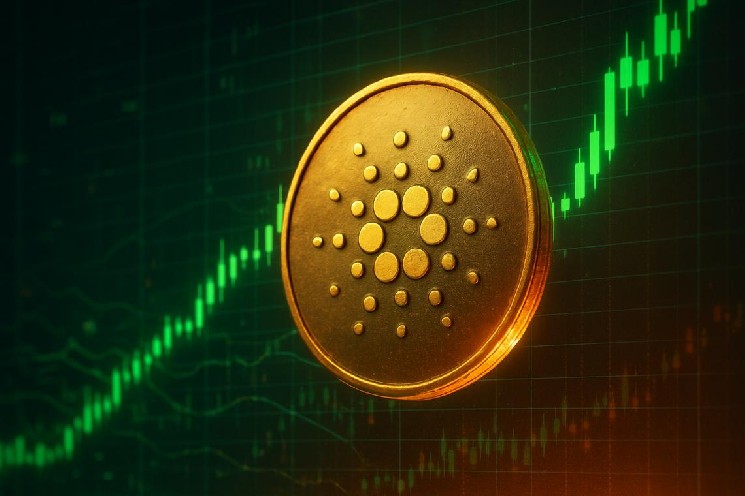 Prezzo Cardano oggi: ADA mantiene $0,22 mentre le commissioni DEX schizzano oltre il 1.200%
