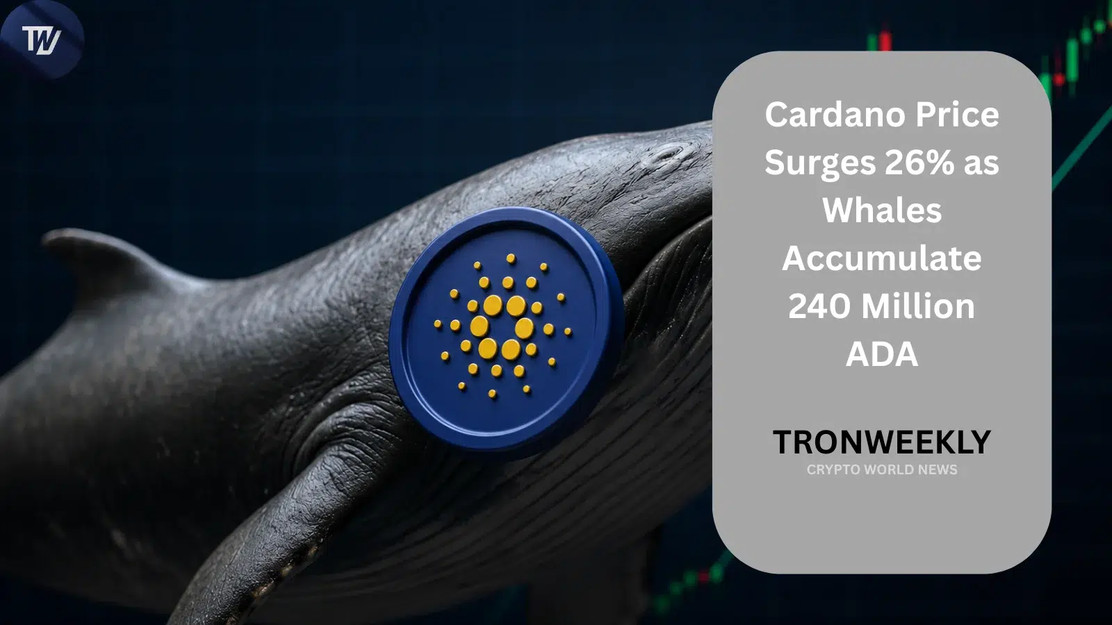 Cardano растет на 26% на фоне накопления 240 миллионов ADA китами