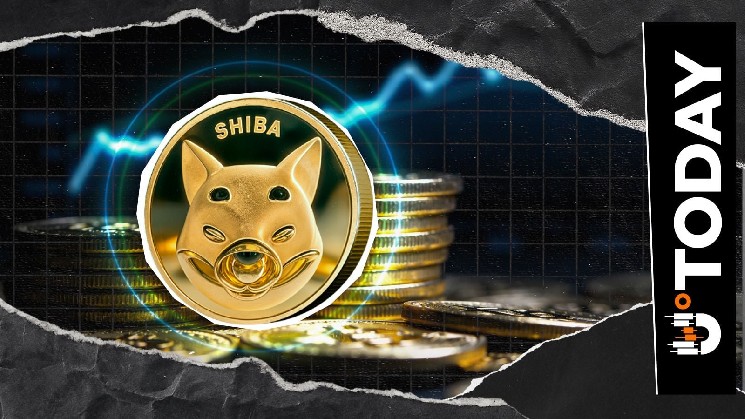 Резерв Shiba Inu на биржах достиг четырехмесячного максимума — более 88 трлн SHIB
