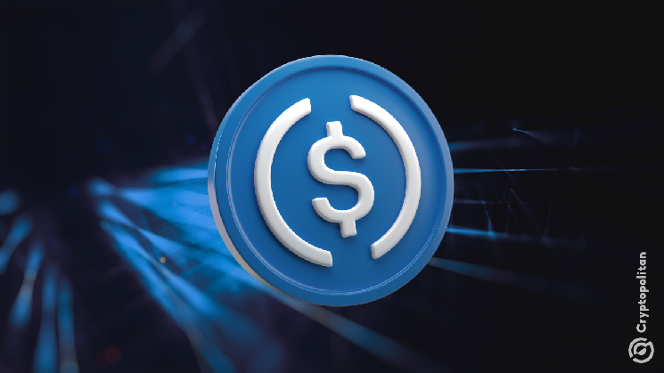 Circle Executive Warns Germany's 50% Crypto Tax Rule Could Hit Retail Investors