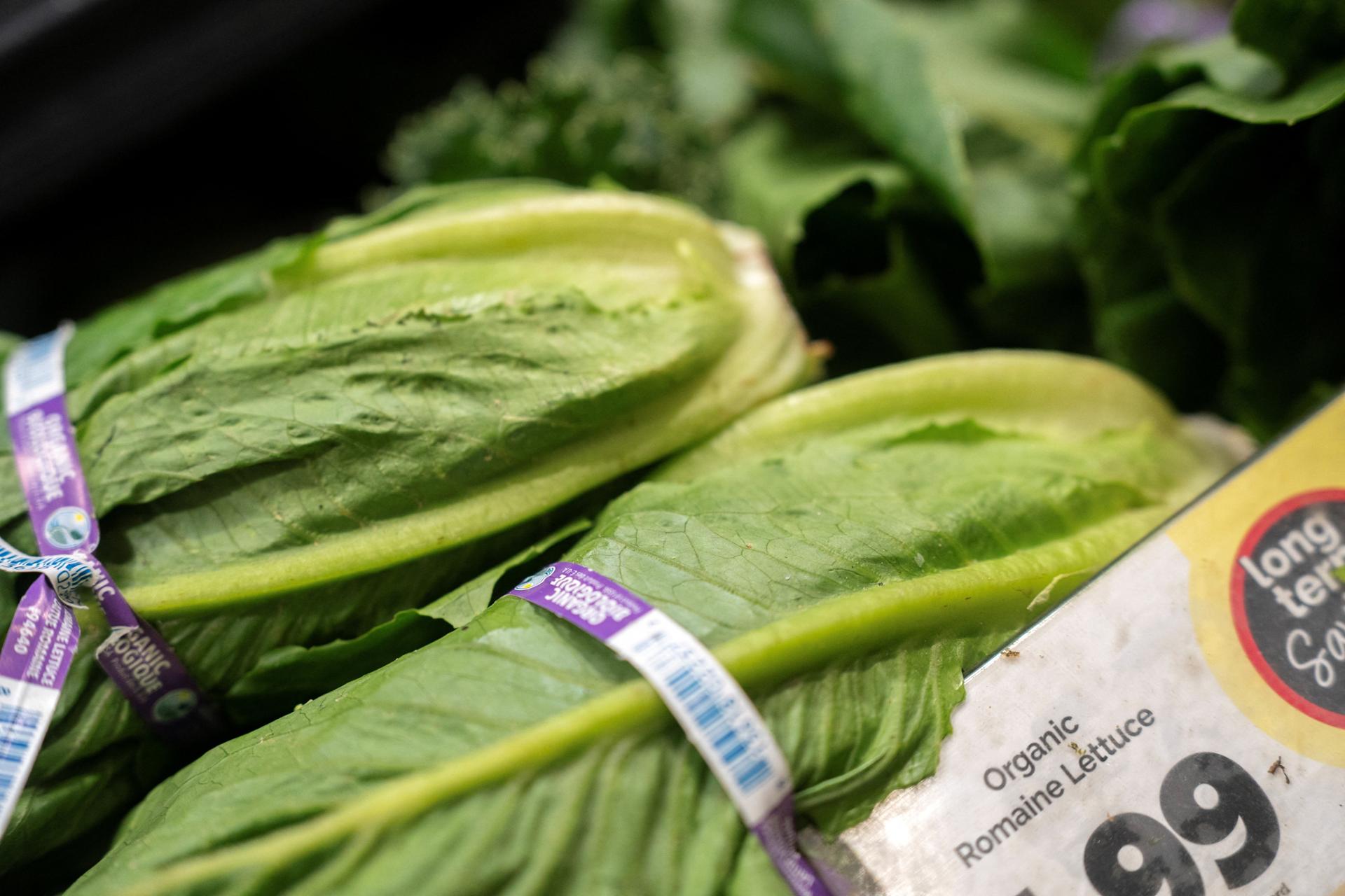 US Cyclosporiasis Outbreak Linked to Taco Bell Lettuce Sickens Thousands, Kills Two in Michigan