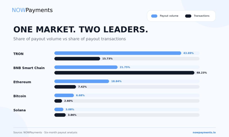 NOWPayments-uitbetaaldata benchmarkt snelheid, volume en kosten op TRON, BNB Smart Chain, Solana, Bitcoin en Ethereum