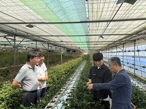 aT brinda consultoría con inteligencia artificial a floricultores que enfrentan desafíos climáticos