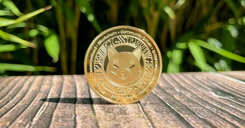Shiba Inu progresse de 36 % alors que le trading de détail sud-coréen soutient les volumes de SHIB