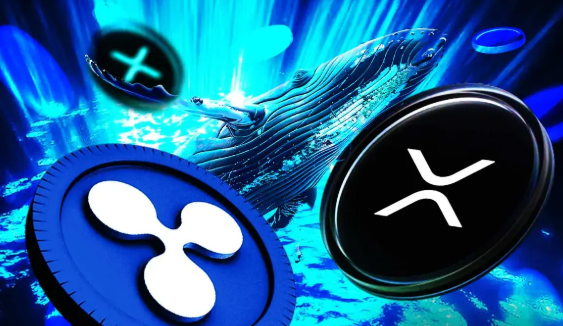 Ripple заключила многолетнее соглашение с Университетом Флориды о размещении логотипа XRP на стадионе «Болото»