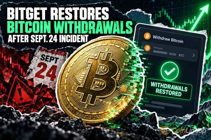Bitget возобновляет вывод Bitcoin после инцидента 24 сентября