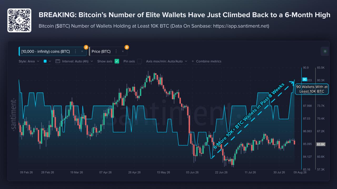 On-Chain-Signale von Bitcoin deuten auf Akkumulation durch Großanleger hin, doch Verschiebungen bei der Verwahrung trüben das Bild