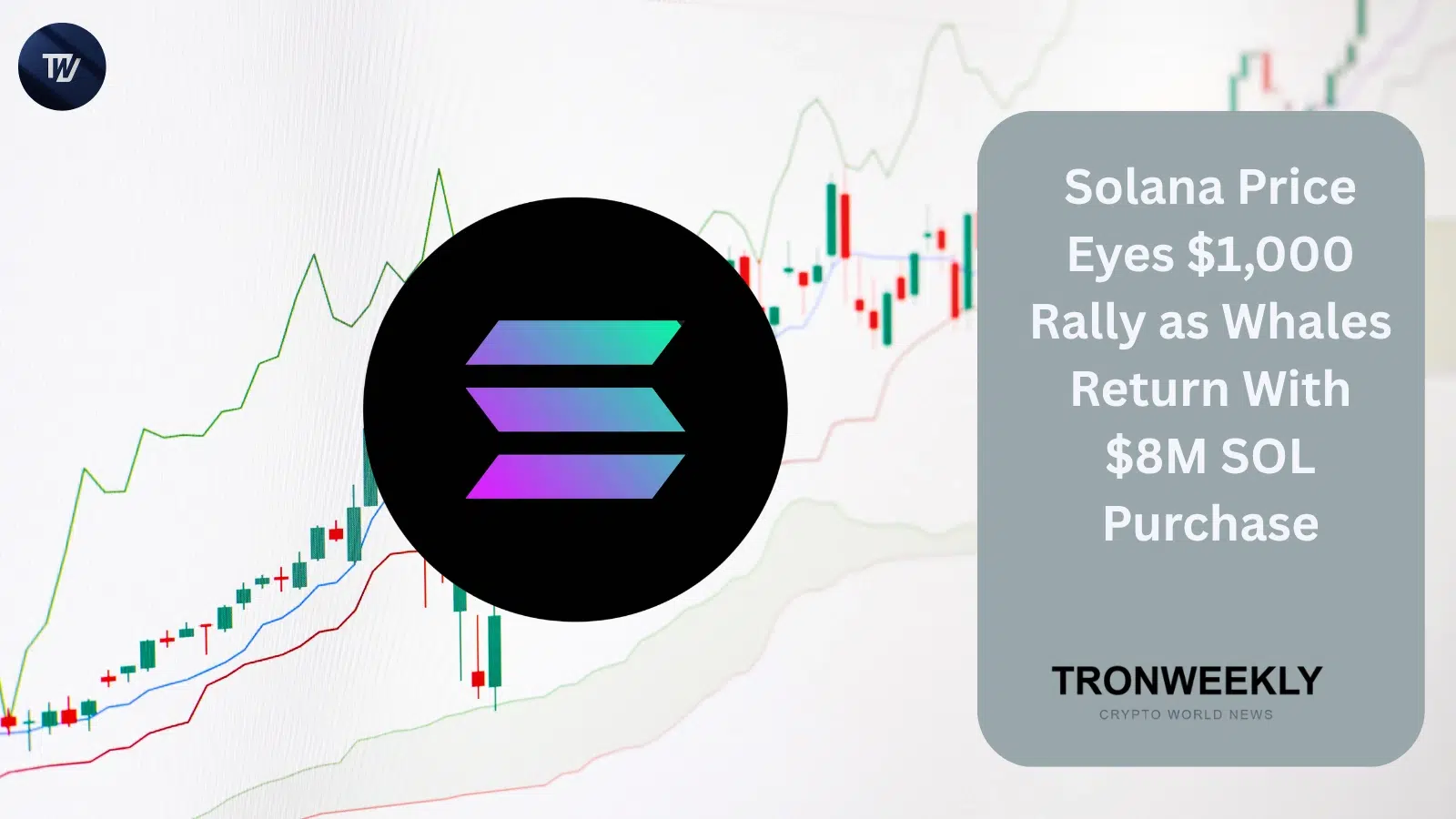 Wieloryby wracają do Solany z zakupem SOL o wartości 8 mln USD, a analitycy wskazują na możliwy cel 1000 USD
