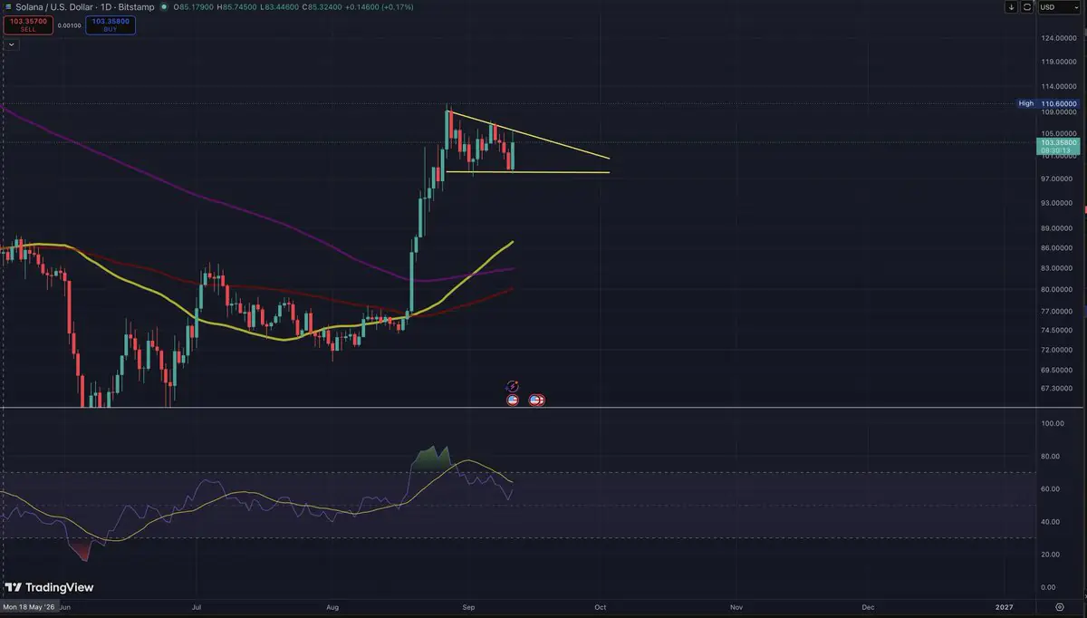Solana Price Forms a Bull Flag: Why $110 Is the Real Test