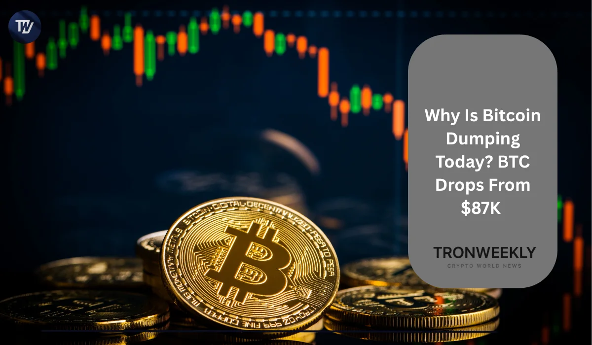 Bitcoin падает с $87 000: ликвидации и слабые данные по занятости в США проверяют поддержку $82 000 на прочность