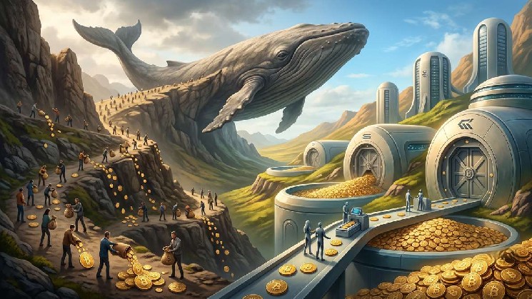 Bitcoin connaît une rotation des détenteurs, les petits portefeuilles vendent tandis que les grands investisseurs accumulent