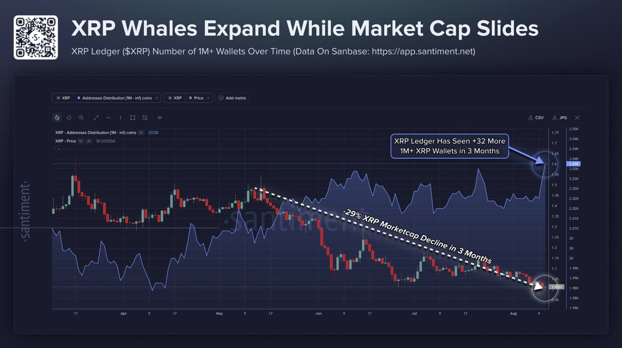 XRPのクジラたちが1ドル割れの下値で保有量を拡大