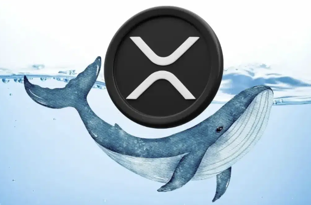 Wieloryby XRP zgromadziły 330 milionów tokenów w 96 godzin, a ich zasoby sięgnęły 16,36 miliarda