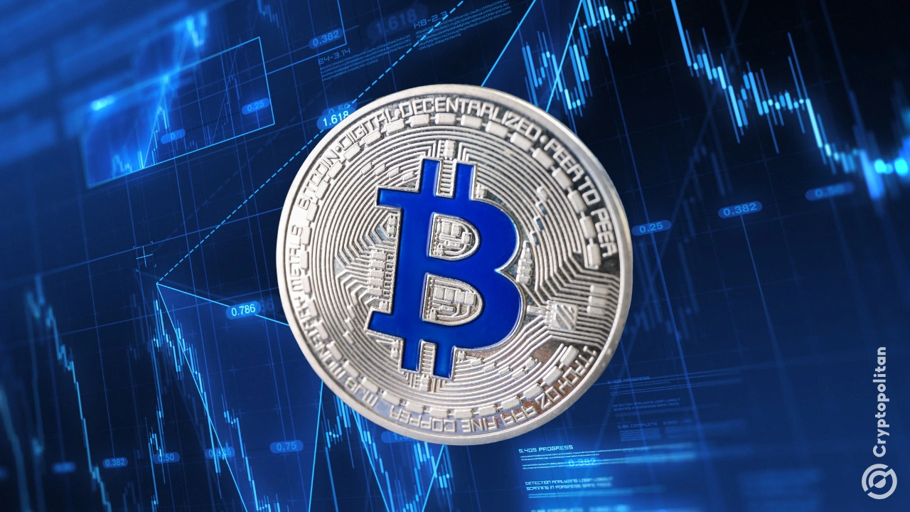 Wall Street Posts Best Week Since April as Bitcoin Holds Near $65,000