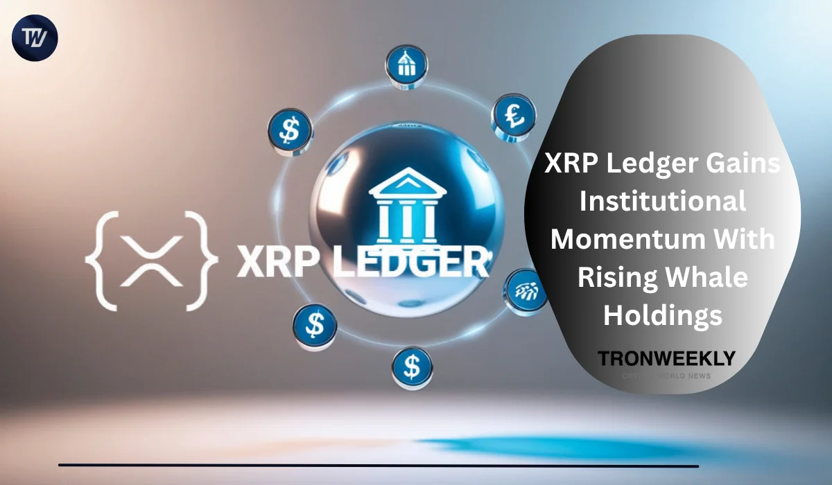 XRP Ledger Attracts Institutional Interest as Whale Holdings Rise and Tokenized Treasuries Expand