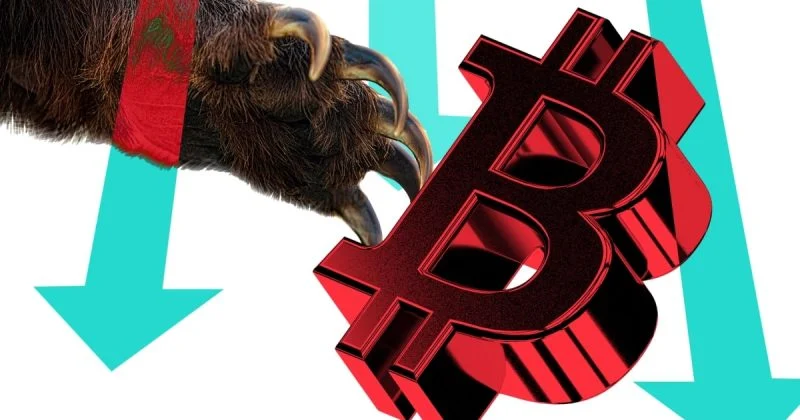 Медвежий рынок Bitcoin с просадкой 49% стал самым мягким структурным снижением за всю историю