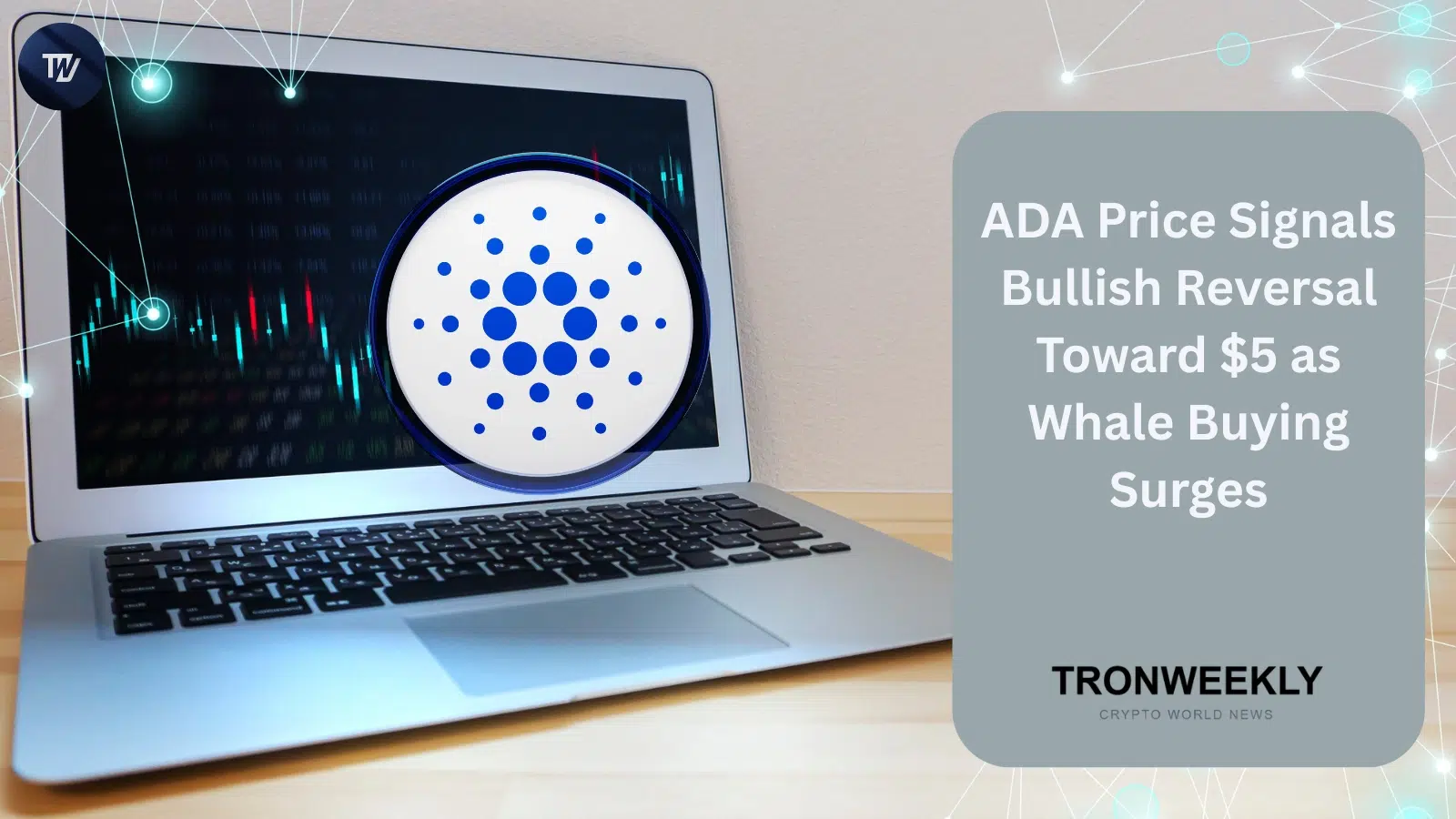 Cardano（ADA）释放看涨反转信号：巨鲸累计买入超2.4亿枚代币