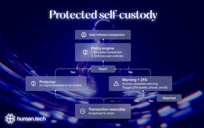 human.tech запускает протокол кошелька в сети Ika для децентрализованных приложений и ИИ-агентов