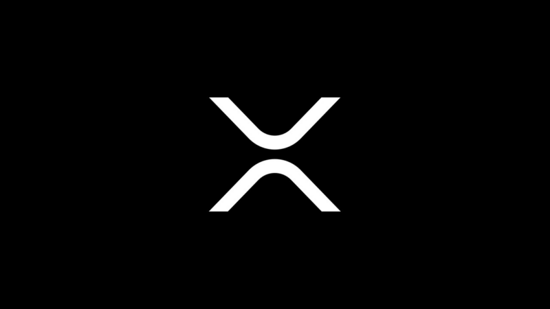 Киты XRP контролируют 68,5% предложения — максимальная доля с ноября 2022 года