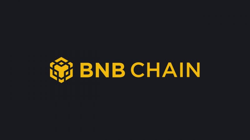 BNB Chain 单周新增 98.5 万稳定币持有人,规模远超其他所有网络