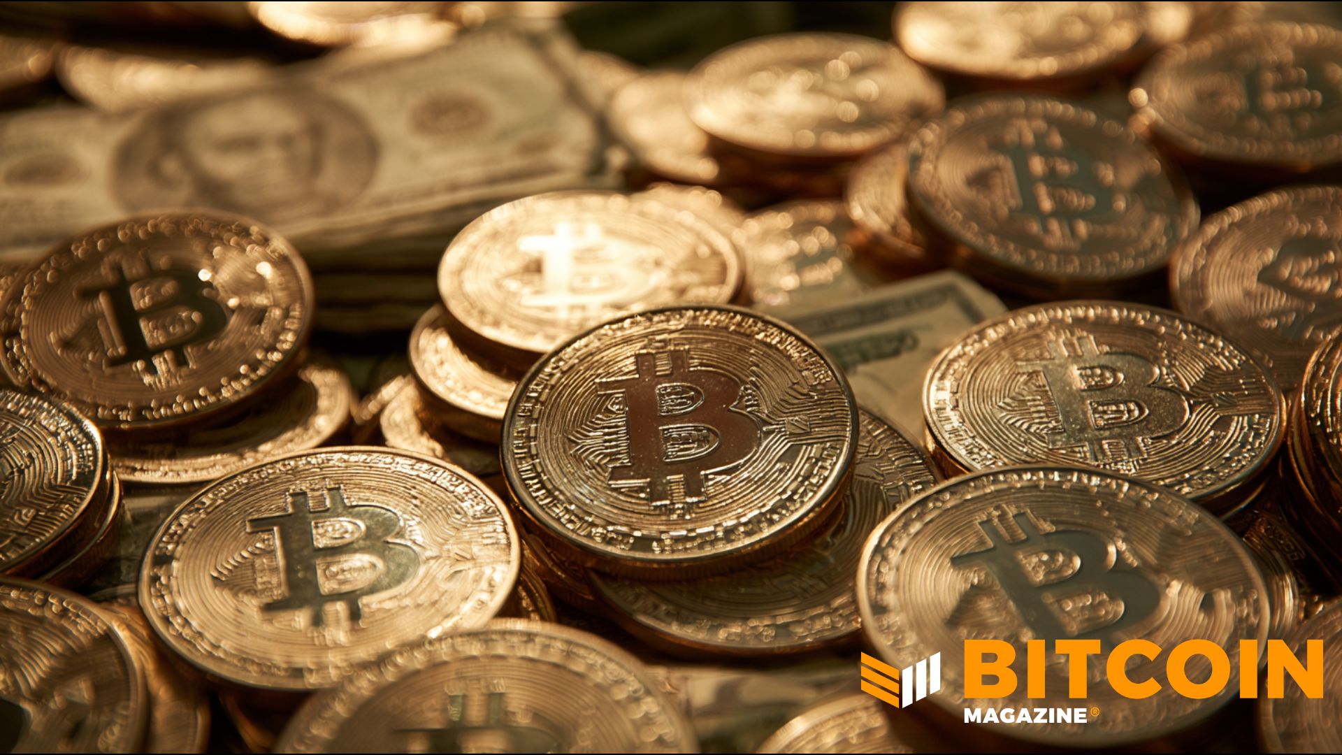 Las instituciones retuvieron su bitcoin durante el caída — y algunas compraron más: informe de Bitwise