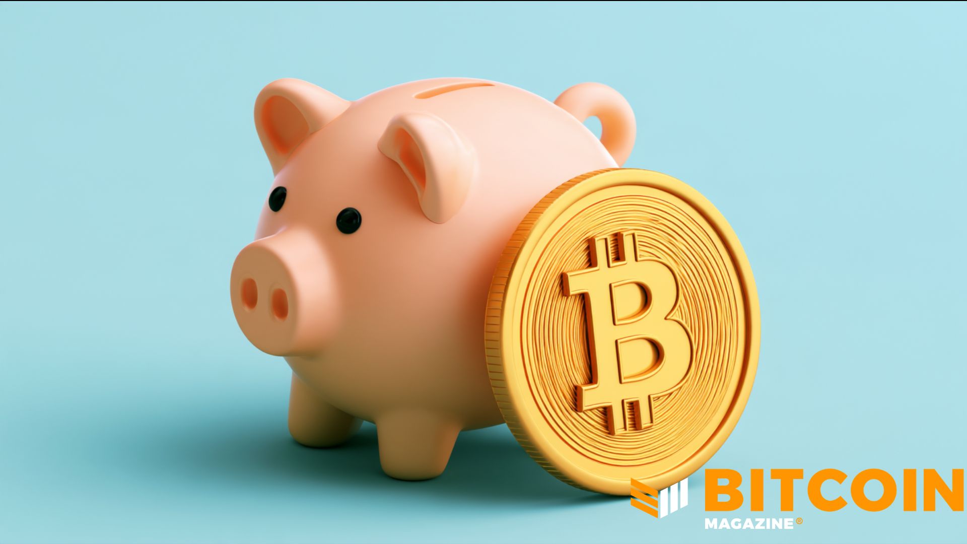 Castle öffnet seine Bitcoin-Sparplattform für Privatpersonen