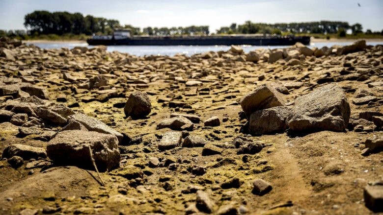 Europe Dodges a Rhine Crisis — but Only Because Demand Is Already Weak