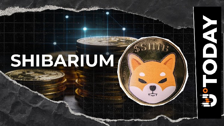 Реструктуризация Shibarium устранена: разработчик Shiba Inu обозначил дальнейший путь