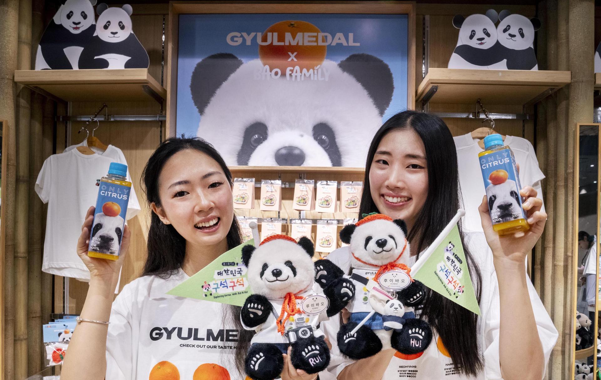 Twin Panda Hui Bao Leads Everland's Jeju Island Travel Campaign