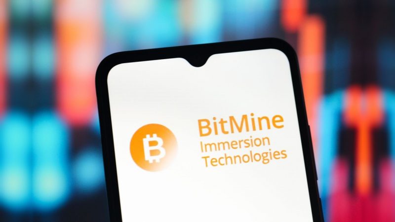 BitMine завершил обратный выкуп акций на $350 млн — Том Ли назвал его крупнейшим среди криптовалютных компаний