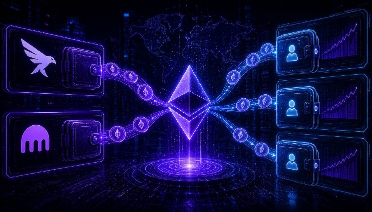 US Charges Vietnamese Man After Crypto Scam Wallets Received More Than $53 Million