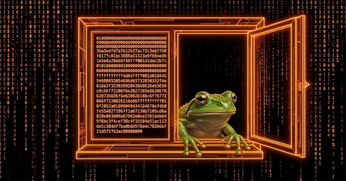 I Scanned the Entire Bitcoin Blockchain for Images. Here’s What I Found
