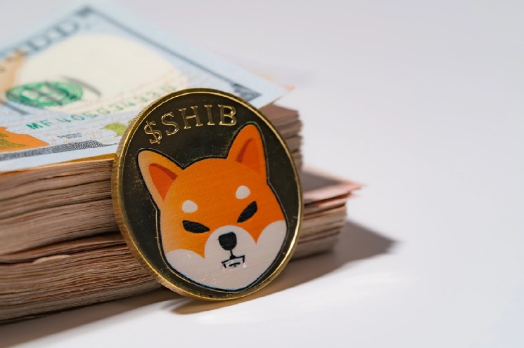 7 из 8 таймфреймов спотовых потоков Shiba Inu (SHIB) в минусе: чего ждать от цены?