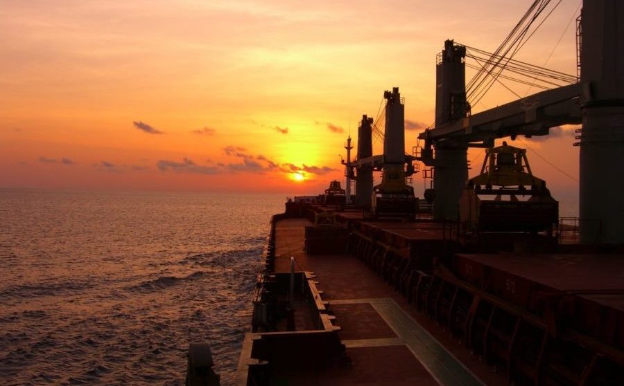 Dry bulk volatility is now the business model, Sagitta Marine CEO says
