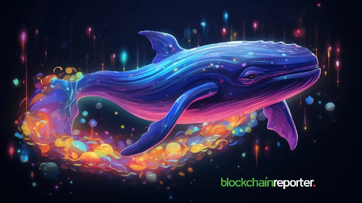Активность китов Morpho и оттоки с бирж достигли многомесячных максимумов