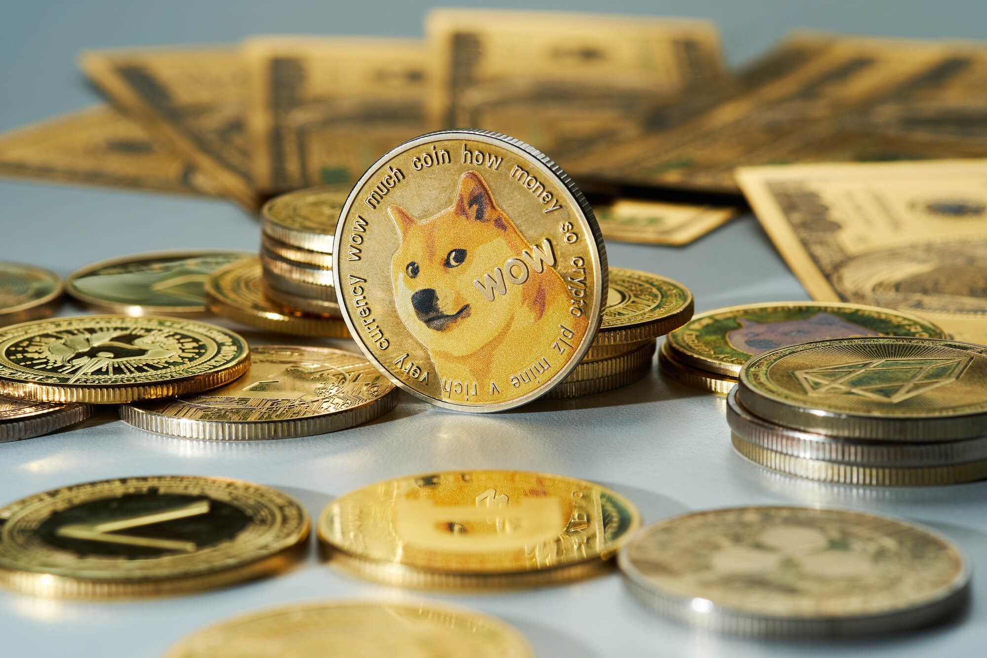 什麼是 Dogecoin？從諷刺項目到 ETF 資產