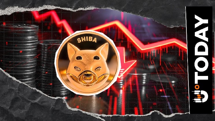 145 Billion SHIB Positioned for Sale as Shiba Inu Exchange Netflow Turns Bearish