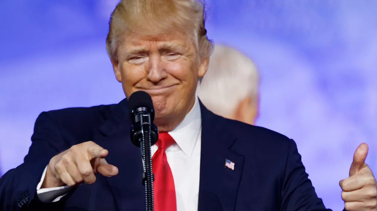 Автор утверждает, что Трамп доказал 50-летнюю теорию итальянского историка о «глупых людях»